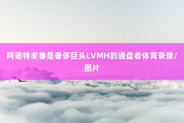 阿诺特家眷是奢侈巨头LVMH的通盘者体育录像/图片