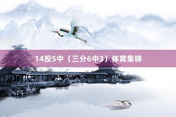 14投5中（三分6中3）体育集锦