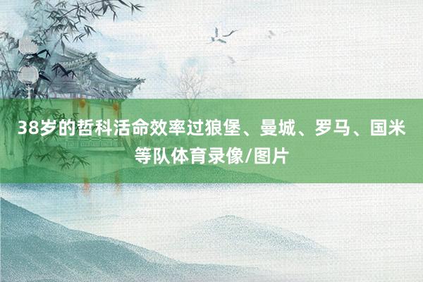 38岁的哲科活命效率过狼堡、曼城、罗马、国米等队体育录像/图片