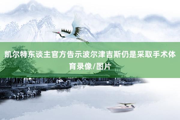 凯尔特东谈主官方告示波尔津吉斯仍是采取手术体育录像/图片