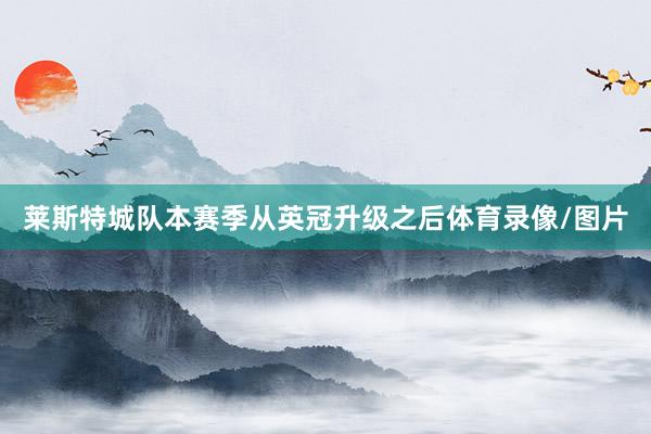 莱斯特城队本赛季从英冠升级之后体育录像/图片