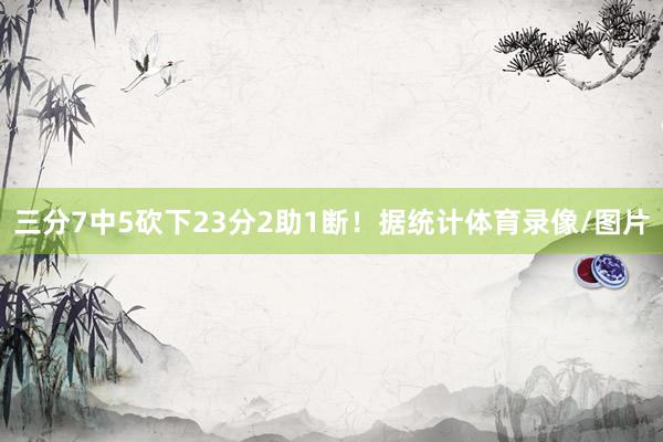 三分7中5砍下23分2助1断！据统计体育录像/图片