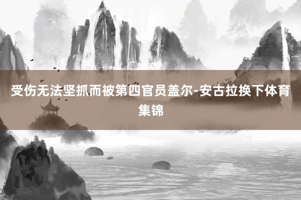 受伤无法坚抓而被第四官员盖尔-安古拉换下体育集锦