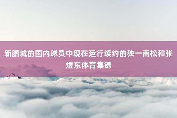 新鹏城的国内球员中现在运行续约的独一南松和张煜东体育集锦