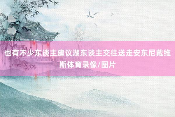 也有不少东谈主建议湖东谈主交往送走安东尼戴维斯体育录像/图片