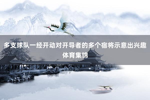 多支球队一经开动对开导者的多个宿将示意出兴趣体育集锦