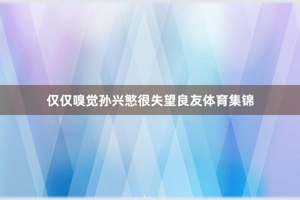 仅仅嗅觉孙兴慜很失望良友体育集锦