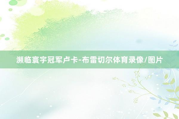 濒临寰宇冠军卢卡-布雷切尔体育录像/图片