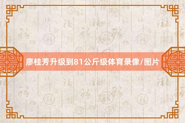 廖桂芳升级到81公斤级体育录像/图片