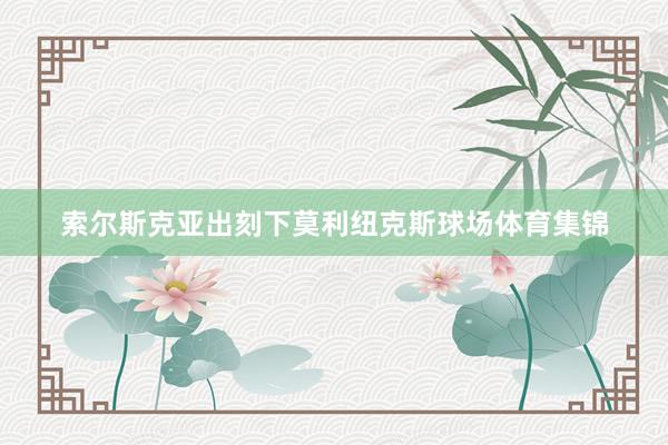 索尔斯克亚出刻下莫利纽克斯球场体育集锦