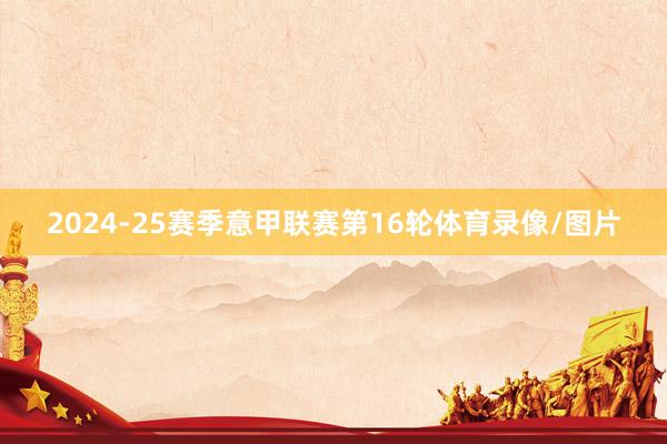 2024-25赛季意甲联赛第16轮体育录像/图片