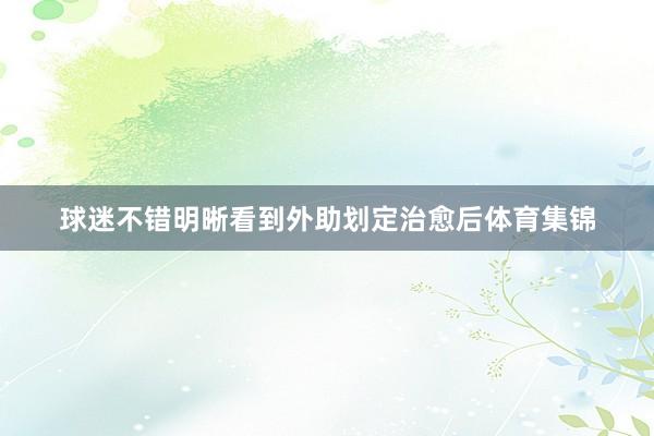 球迷不错明晰看到外助划定治愈后体育集锦