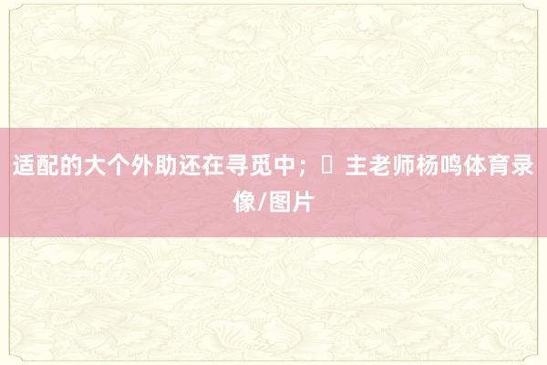 适配的大个外助还在寻觅中；✓主老师杨鸣体育录像/图片