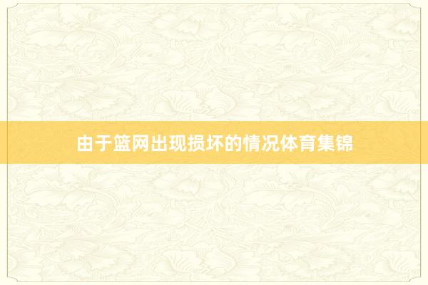 由于篮网出现损坏的情况体育集锦