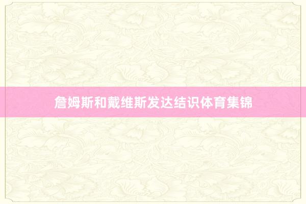 詹姆斯和戴维斯发达结识体育集锦