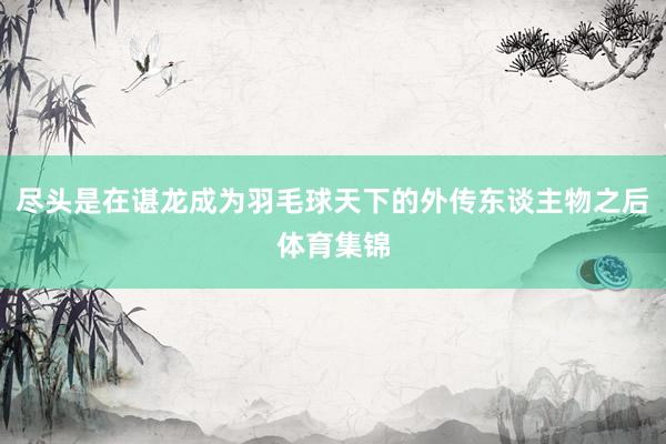 尽头是在谌龙成为羽毛球天下的外传东谈主物之后体育集锦