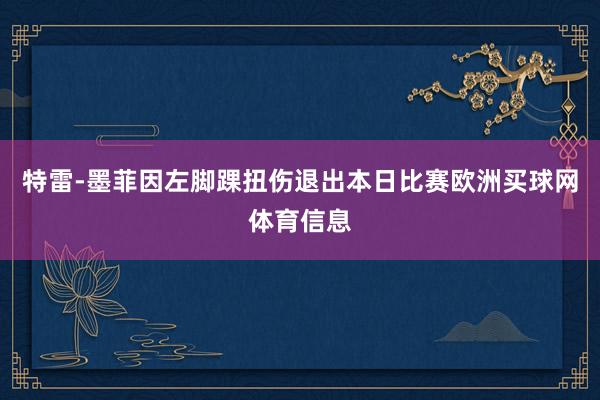 特雷-墨菲因左脚踝扭伤退出本日比赛欧洲买球网体育信息