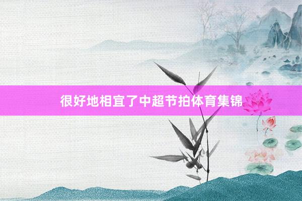 很好地相宜了中超节拍体育集锦