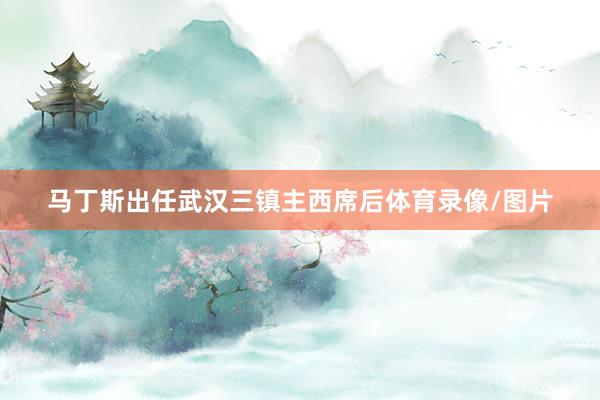 马丁斯出任武汉三镇主西席后体育录像/图片