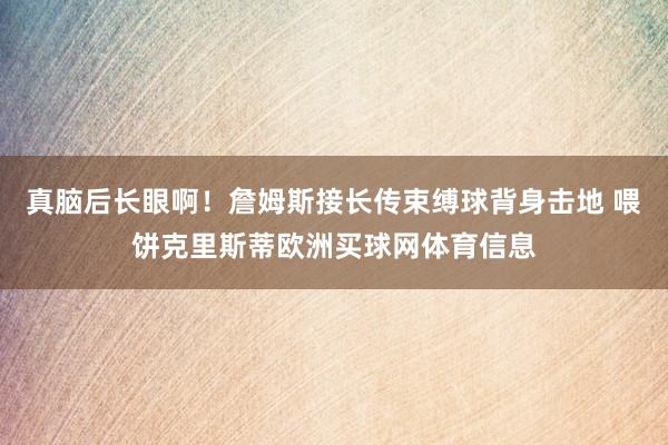真脑后长眼啊！詹姆斯接长传束缚球背身击地 喂饼克里斯蒂欧洲买球网体育信息