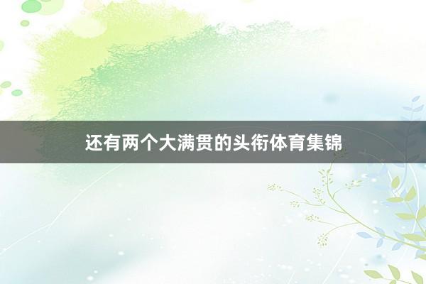 还有两个大满贯的头衔体育集锦