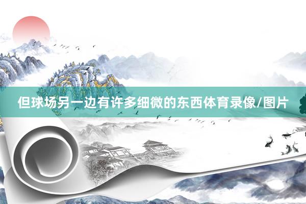 但球场另一边有许多细微的东西体育录像/图片