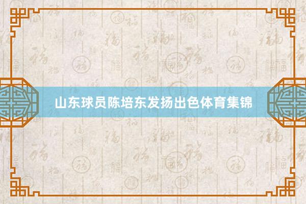 山东球员陈培东发扬出色体育集锦