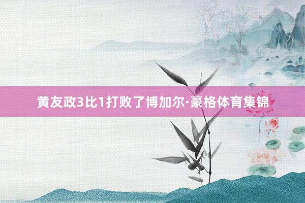 黄友政3比1打败了博加尔·豪格体育集锦