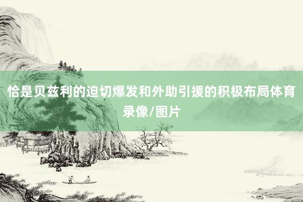 恰是贝兹利的迫切爆发和外助引援的积极布局体育录像/图片