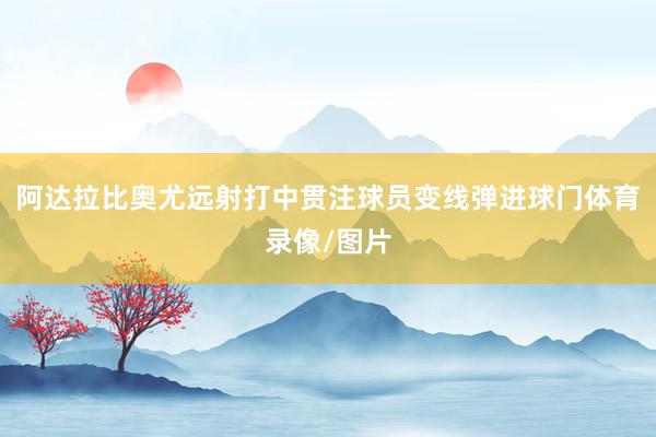 阿达拉比奥尤远射打中贯注球员变线弹进球门体育录像/图片