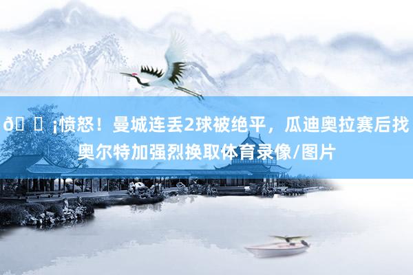 😡愤怒！曼城连丢2球被绝平，瓜迪奥拉赛后找奥尔特加强烈换取体育录像/图片
