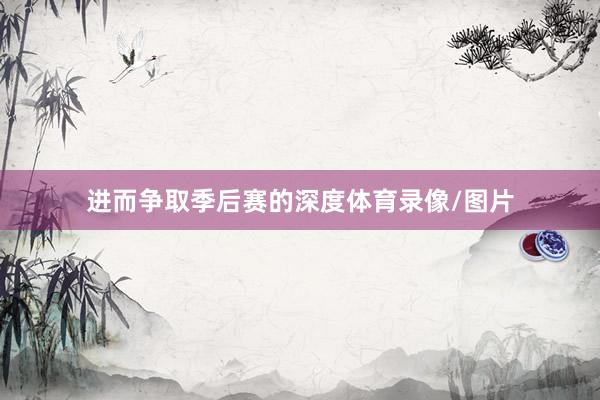 进而争取季后赛的深度体育录像/图片