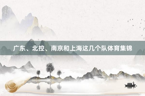 广东、北控、南京和上海这几个队体育集锦
