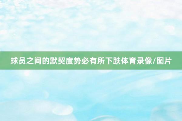 球员之间的默契度势必有所下跌体育录像/图片
