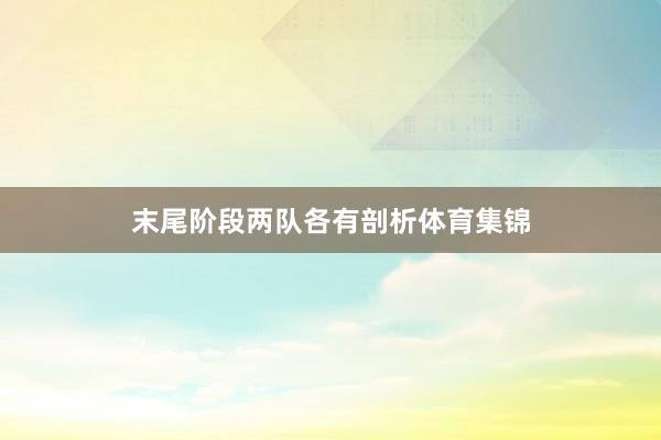 末尾阶段两队各有剖析体育集锦