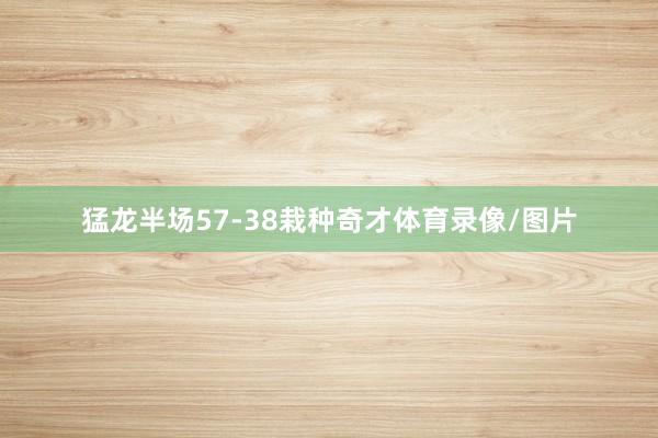 猛龙半场57-38栽种奇才体育录像/图片