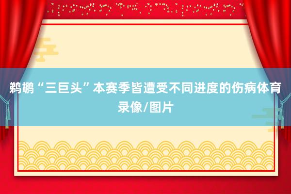 鹈鹕“三巨头”本赛季皆遭受不同进度的伤病体育录像/图片