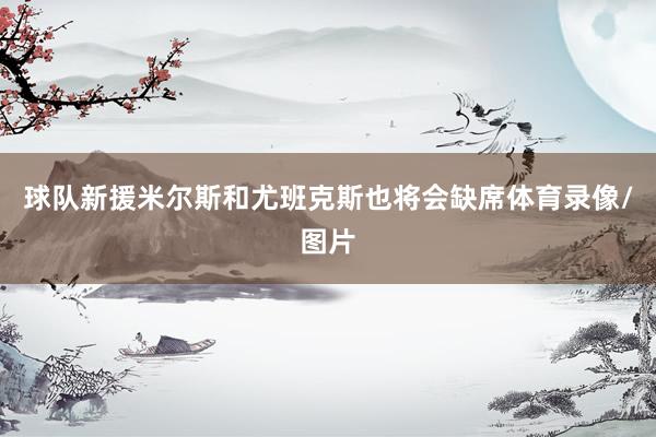 球队新援米尔斯和尤班克斯也将会缺席体育录像/图片