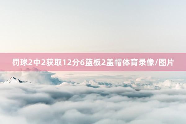 罚球2中2获取12分6篮板2盖帽体育录像/图片