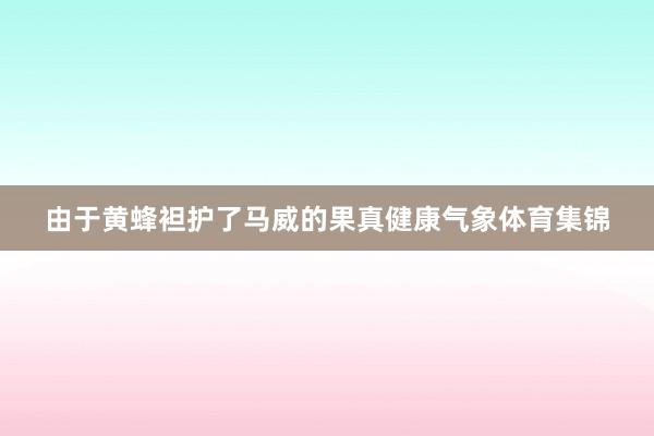 由于黄蜂袒护了马威的果真健康气象体育集锦