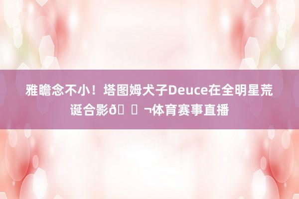 雅瞻念不小！塔图姆犬子Deuce在全明星荒诞合影👬体育赛事直播
