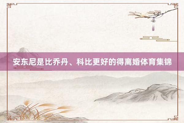 安东尼是比乔丹、科比更好的得离婚体育集锦