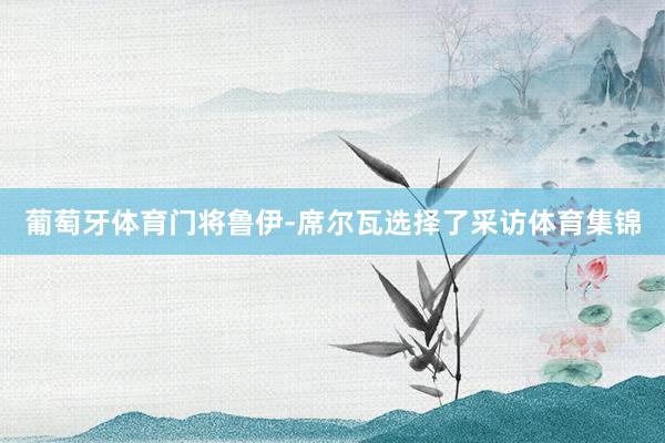 葡萄牙体育门将鲁伊-席尔瓦选择了采访体育集锦