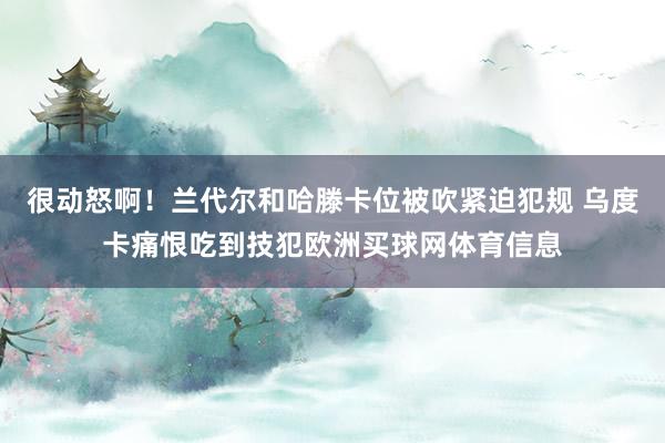 很动怒啊！兰代尔和哈滕卡位被吹紧迫犯规 乌度卡痛恨吃到技犯欧洲买球网体育信息