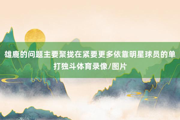 雄鹿的问题主要聚拢在紧要更多依靠明星球员的单打独斗体育录像/图片