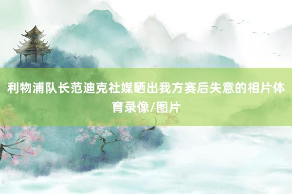 利物浦队长范迪克社媒晒出我方赛后失意的相片体育录像/图片