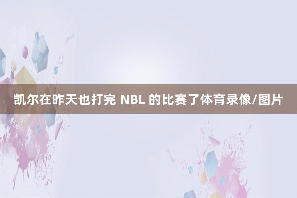 凯尔在昨天也打完 NBL 的比赛了体育录像/图片