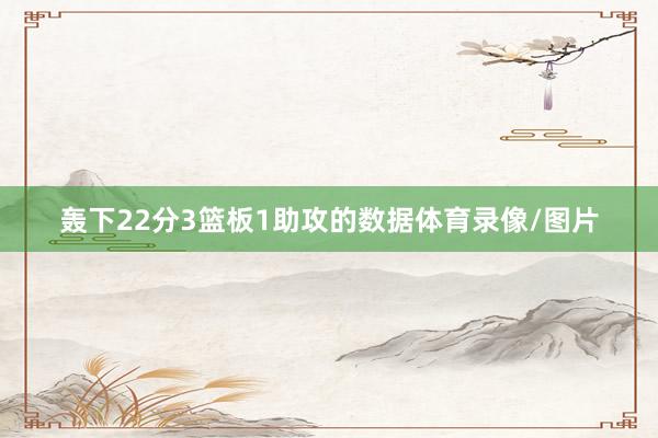 轰下22分3篮板1助攻的数据体育录像/图片