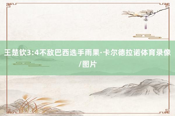 王楚钦3:4不敌巴西选手雨果·卡尔德拉诺体育录像/图片