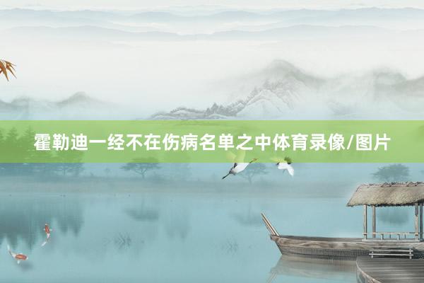 霍勒迪一经不在伤病名单之中体育录像/图片